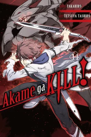 Akame Ga Kill GN Vol 14