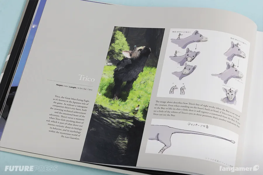 The Last Guardian: An Extraordinary Story